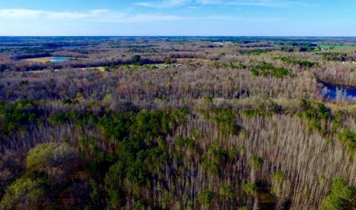 Photo of UNDER CONTRACT!  115 Acres of Hunting Land For Sale in Wilson County NC!
