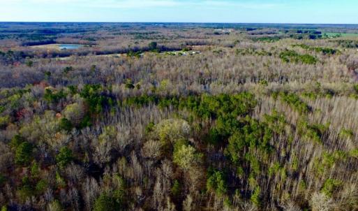 Photo of UNDER CONTRACT!  115 Acres of Hunting Land For Sale in Wilson County NC!