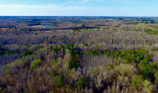 Photo of UNDER CONTRACT!  115 Acres of Hunting Land For Sale in Wilson County NC!