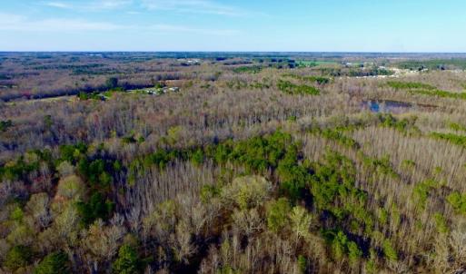 Photo of UNDER CONTRACT!  115 Acres of Hunting Land For Sale in Wilson County NC!