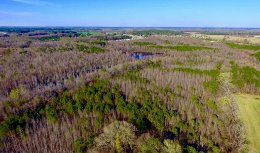 Photo of UNDER CONTRACT!  115 Acres of Hunting Land For Sale in Wilson County NC!