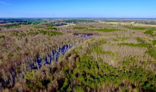Photo of UNDER CONTRACT!  115 Acres of Hunting Land For Sale in Wilson County NC!