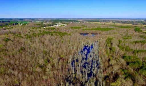 Photo of UNDER CONTRACT!  115 Acres of Hunting Land For Sale in Wilson County NC!