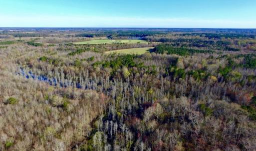 Photo of UNDER CONTRACT!  115 Acres of Hunting Land For Sale in Wilson County NC!