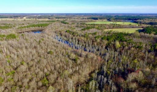 Photo of UNDER CONTRACT!  115 Acres of Hunting Land For Sale in Wilson County NC!