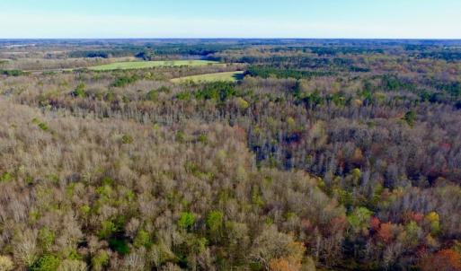 Photo of UNDER CONTRACT!  115 Acres of Hunting Land For Sale in Wilson County NC!