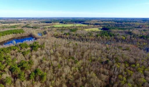 Photo of UNDER CONTRACT!  115 Acres of Hunting Land For Sale in Wilson County NC!