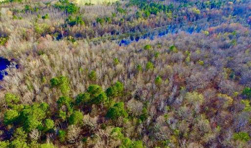 Photo of UNDER CONTRACT!  115 Acres of Hunting Land For Sale in Wilson County NC!