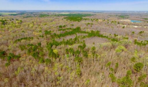 Photo of UNDER CONTRACT!  115 Acres of Hunting Land For Sale in Wilson County NC!
