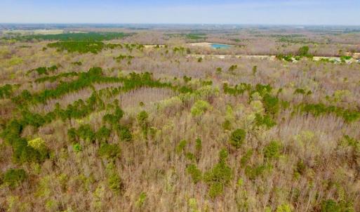 Photo of UNDER CONTRACT!  115 Acres of Hunting Land For Sale in Wilson County NC!