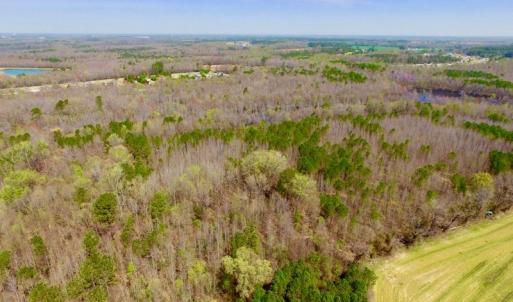 Photo of UNDER CONTRACT!  115 Acres of Hunting Land For Sale in Wilson County NC!