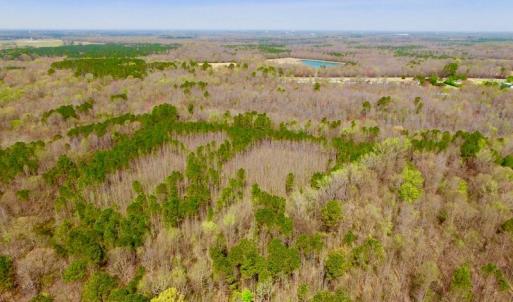 Photo of UNDER CONTRACT!  115 Acres of Hunting Land For Sale in Wilson County NC!