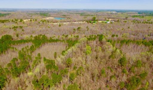 Photo of UNDER CONTRACT!  115 Acres of Hunting Land For Sale in Wilson County NC!