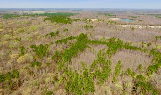 Photo of UNDER CONTRACT!  115 Acres of Hunting Land For Sale in Wilson County NC!