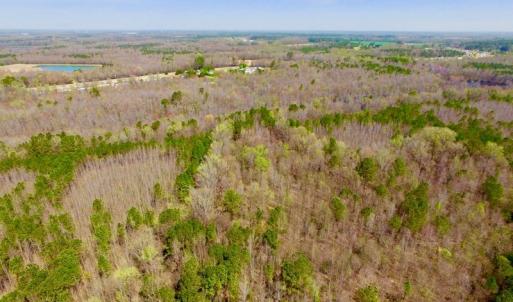 Photo of UNDER CONTRACT!  115 Acres of Hunting Land For Sale in Wilson County NC!