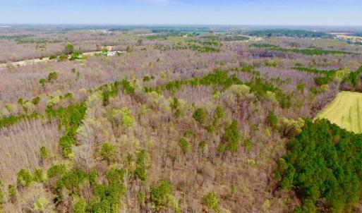 Photo of UNDER CONTRACT!  115 Acres of Hunting Land For Sale in Wilson County NC!