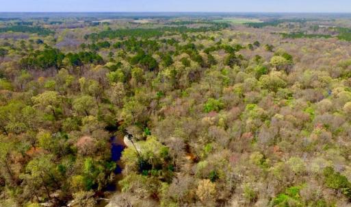 Photo of UNDER CONTRACT!  115 Acres of Hunting Land For Sale in Wilson County NC!
