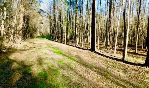 Photo of UNDER CONTRACT!  115 Acres of Hunting Land For Sale in Wilson County NC!