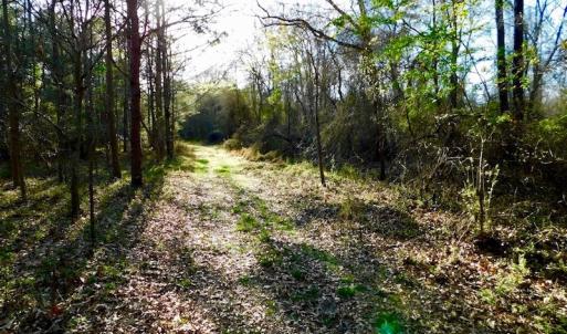Photo of UNDER CONTRACT!  115 Acres of Hunting Land For Sale in Wilson County NC!
