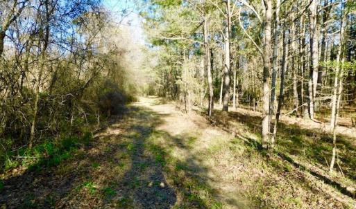 Photo of UNDER CONTRACT!  115 Acres of Hunting Land For Sale in Wilson County NC!