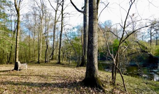 Photo of UNDER CONTRACT!  115 Acres of Hunting Land For Sale in Wilson County NC!