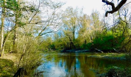 Photo of UNDER CONTRACT!  115 Acres of Hunting Land For Sale in Wilson County NC!