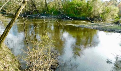 Photo of UNDER CONTRACT!  115 Acres of Hunting Land For Sale in Wilson County NC!