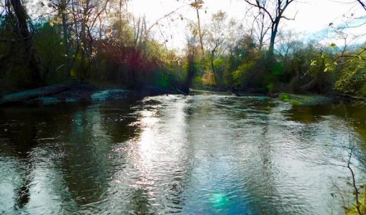 Photo of UNDER CONTRACT!  115 Acres of Hunting Land For Sale in Wilson County NC!