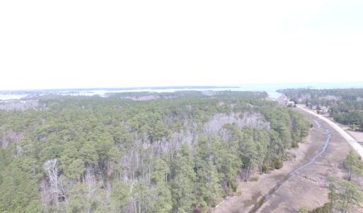 Photo of UNDER CONTRACT!  16 Acres of Hunting and Investment Land for Sale in Gloucester County VA!