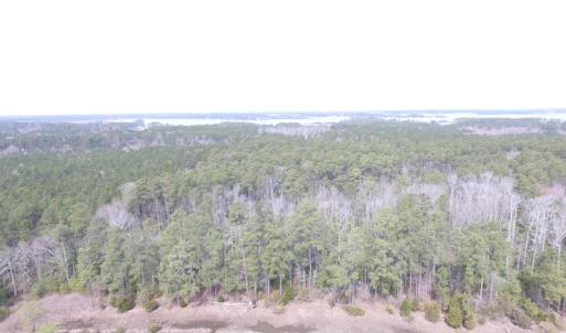 Photo of UNDER CONTRACT!  16 Acres of Hunting and Investment Land for Sale in Gloucester County VA!