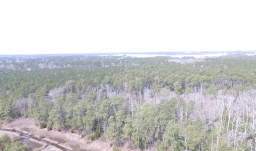 Photo of UNDER CONTRACT!  16 Acres of Hunting and Investment Land for Sale in Gloucester County VA!