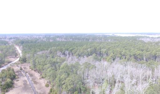 Photo of UNDER CONTRACT!  16 Acres of Hunting and Investment Land for Sale in Gloucester County VA!