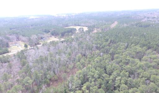 Photo of UNDER CONTRACT!  16 Acres of Hunting and Investment Land for Sale in Gloucester County VA!
