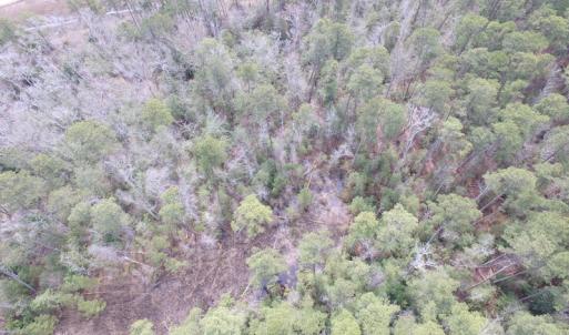 Photo of UNDER CONTRACT!  16 Acres of Hunting and Investment Land for Sale in Gloucester County VA!