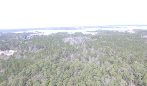 Photo of UNDER CONTRACT!  16 Acres of Hunting and Investment Land for Sale in Gloucester County VA!