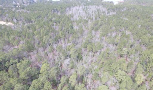 Photo of UNDER CONTRACT!  16 Acres of Hunting and Investment Land for Sale in Gloucester County VA!