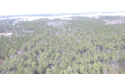 Photo of UNDER CONTRACT!  16 Acres of Hunting and Investment Land for Sale in Gloucester County VA!