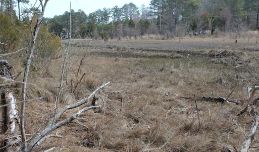Photo of UNDER CONTRACT!  16 Acres of Hunting and Investment Land for Sale in Gloucester County VA!