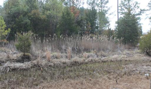 Photo of UNDER CONTRACT!  16 Acres of Hunting and Investment Land for Sale in Gloucester County VA!
