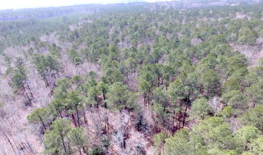 Photo of UNDER CONTRACT!  31 Acres of Hunting & Investment Land for Sale in Gloucester County VA!