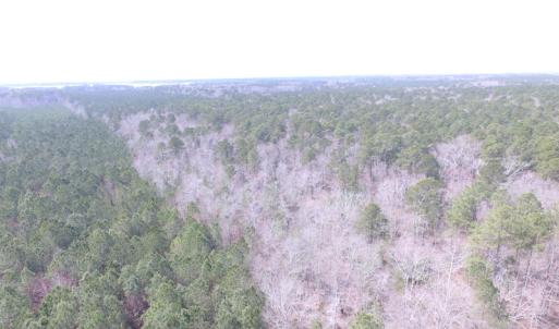 Photo of UNDER CONTRACT!  31 Acres of Hunting & Investment Land for Sale in Gloucester County VA!