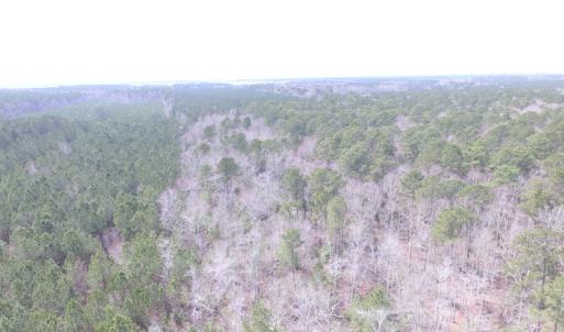 Photo of UNDER CONTRACT!  31 Acres of Hunting & Investment Land for Sale in Gloucester County VA!