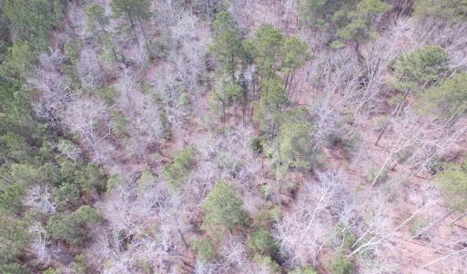 Photo of UNDER CONTRACT!  31 Acres of Hunting & Investment Land for Sale in Gloucester County VA!