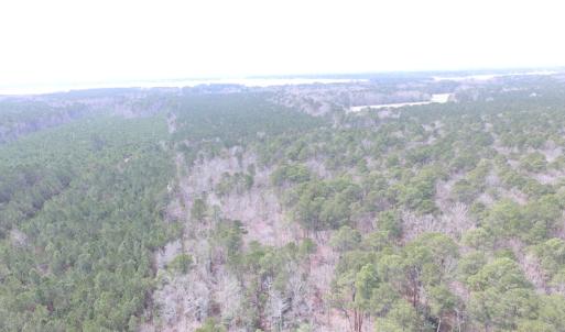 Photo of UNDER CONTRACT!  31 Acres of Hunting & Investment Land for Sale in Gloucester County VA!
