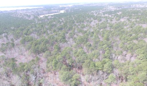 Photo of UNDER CONTRACT!  31 Acres of Hunting & Investment Land for Sale in Gloucester County VA!