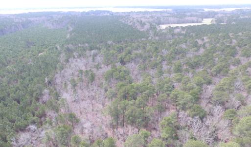 Photo of UNDER CONTRACT!  31 Acres of Hunting & Investment Land for Sale in Gloucester County VA!