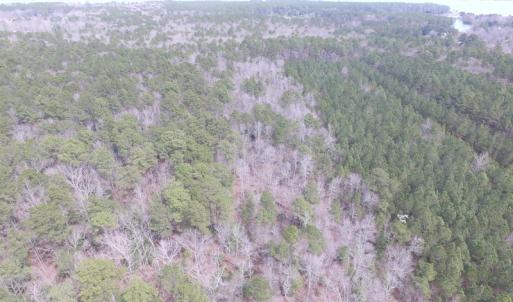 Photo of UNDER CONTRACT!  31 Acres of Hunting & Investment Land for Sale in Gloucester County VA!