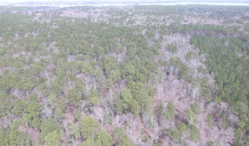 Photo of UNDER CONTRACT!  31 Acres of Hunting & Investment Land for Sale in Gloucester County VA!