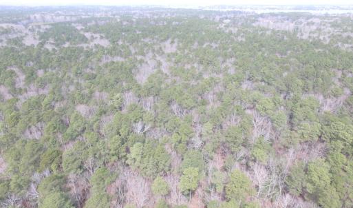 Photo of UNDER CONTRACT!  31 Acres of Hunting & Investment Land for Sale in Gloucester County VA!