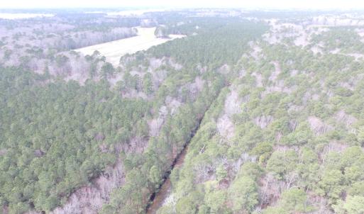 Photo of UNDER CONTRACT!  31 Acres of Hunting & Investment Land for Sale in Gloucester County VA!